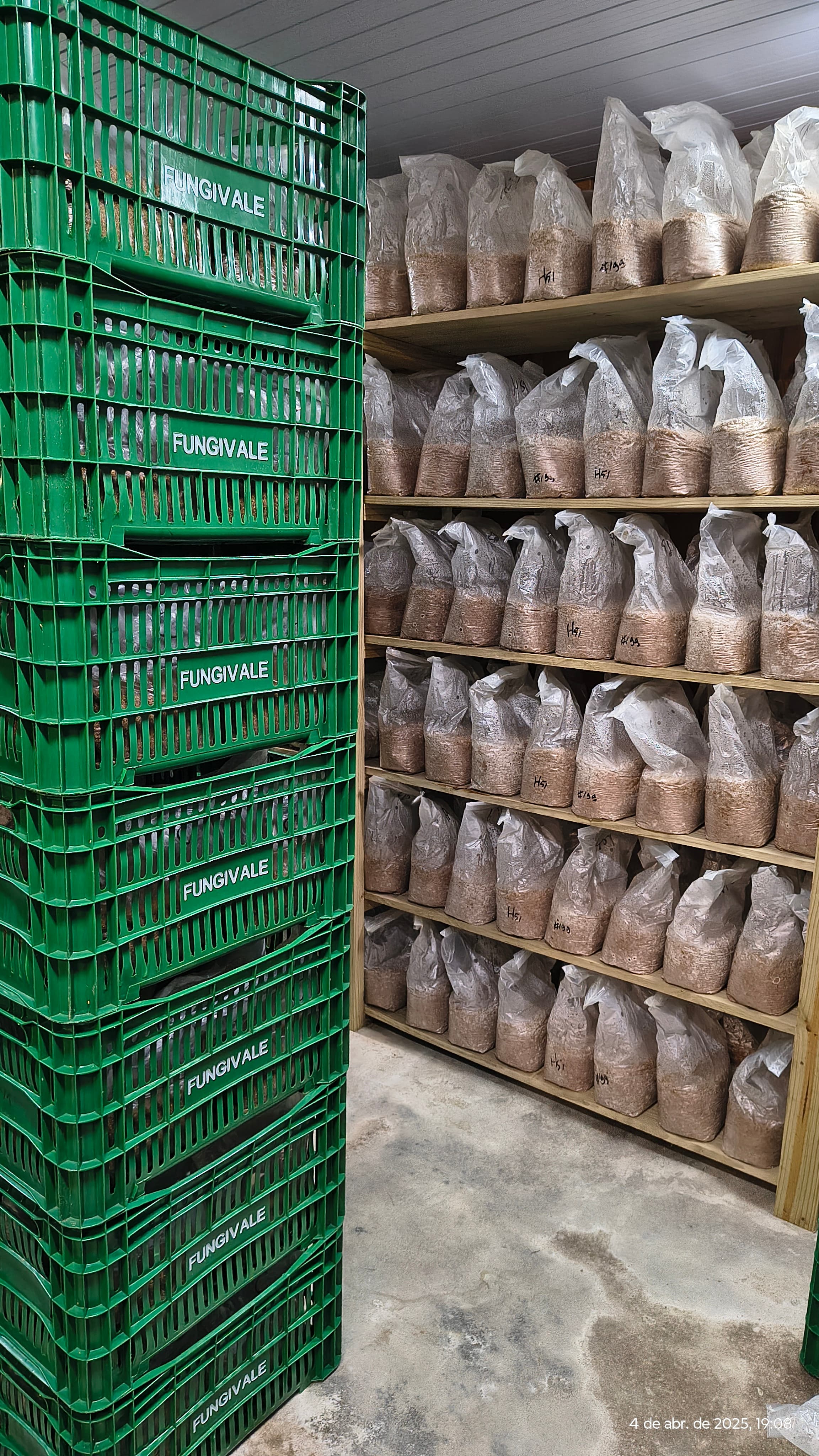 Blocos de cultivo prontos para teste