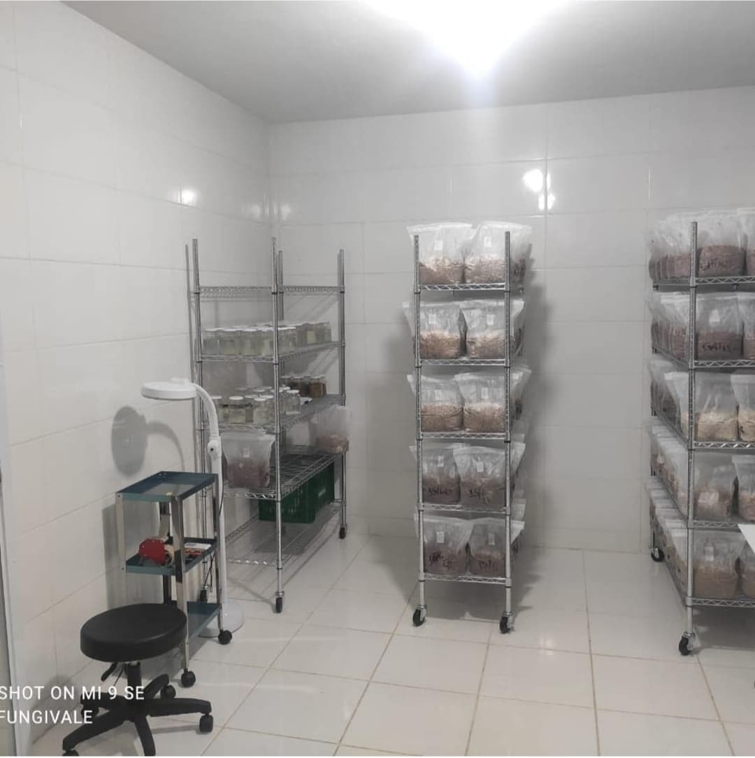 Laboratório otimizado